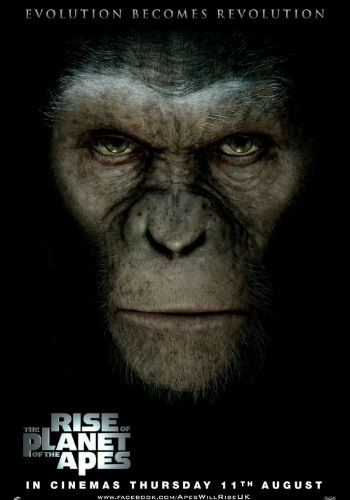 The penetrating gaze of Caesar is confronting one for humanity, used to the idea that we sit alone at the top of the evolutionary tree (image via Impawards)