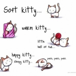 Soft Kitty