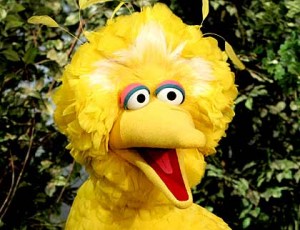 Sesame Street Big Bird