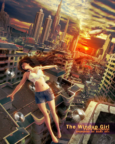 Judging a Book By Its Cover 3 Wind Up Girl art