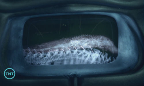 Falling Skies On Thin Ice CD harness removal
