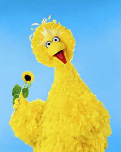 Big Bird (image via muppet.wikia.com (c) Sesame Street)