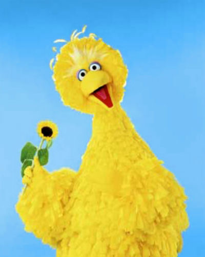Big Bird (image via muppet.wikia.com (c) Sesame Street)