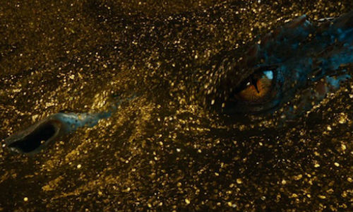 Once awoken, Smaug is a terrifying beast indeed, given a silky smooth delivery by Benedict Cumberbatch, who invests him with the all the narcissistic, calculating evil menace that his visage predicts he would possess (image via screenrant.com)