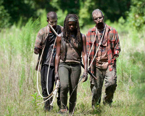 Michonne has new walker "pets" and is back in understandably grim survivalist mode, any traces of the emerging playfulness from the first half of season 4 extinguished (image via warpaint.com (c) AMC)