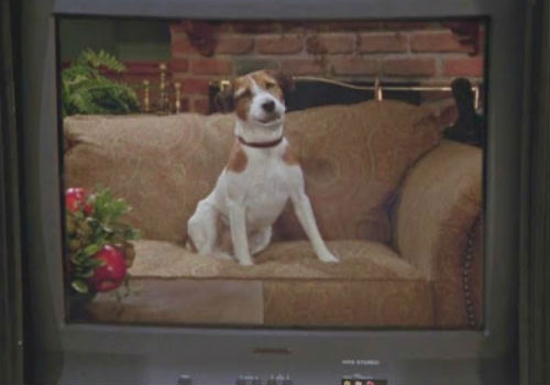Eddie usurps Frasier's glory in a ad for the Seattle Tourism Board, just one of the indignities inflicted on Frasier in a less than ideal but enormously funny Christmas (image via Nerd History)