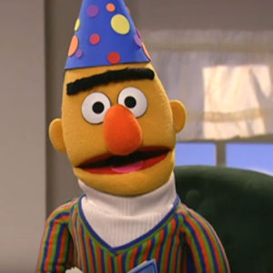 Happy Birthday Bert! (5 months late) #SesameStreet – SparklyPrettyBriiiight